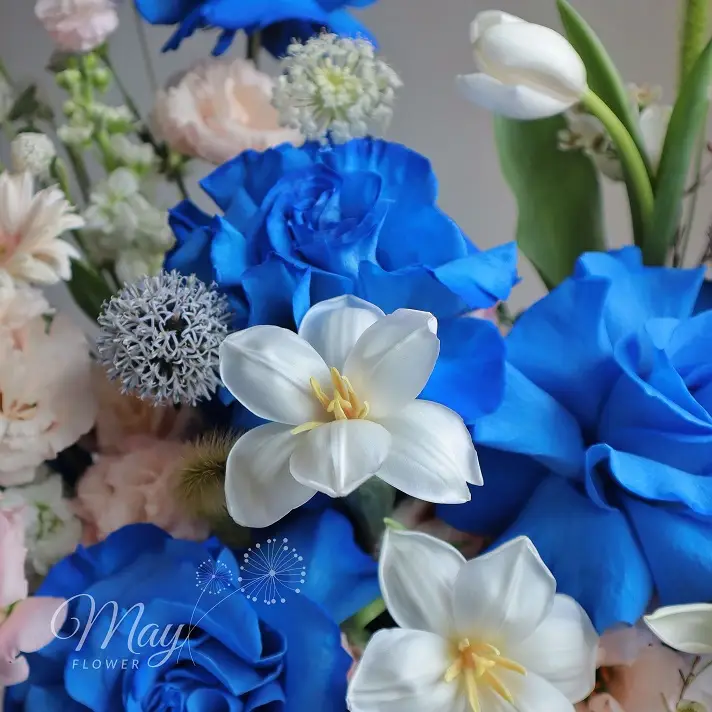 Giỏ hoa Ecuador Blue nhập khẩu