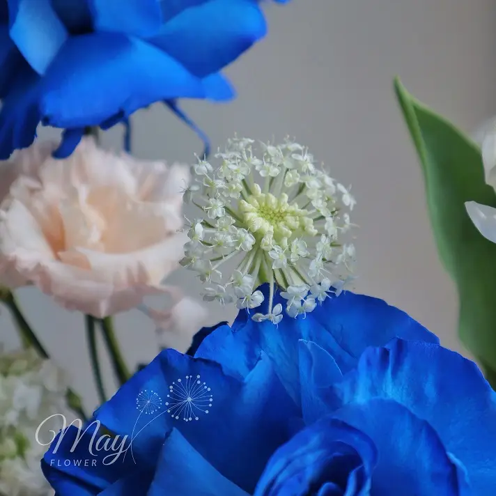 Giỏ hoa Ecuador Blue nhập khẩu