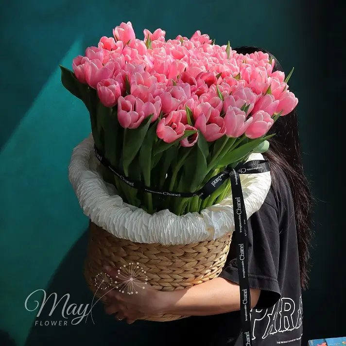 Giỏ hoa Tulip hồng nhập khẩu cao cấp