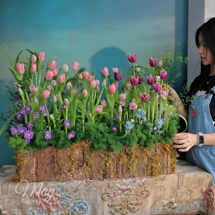 Gốc hoa tulip nhập khẩu cao cấp