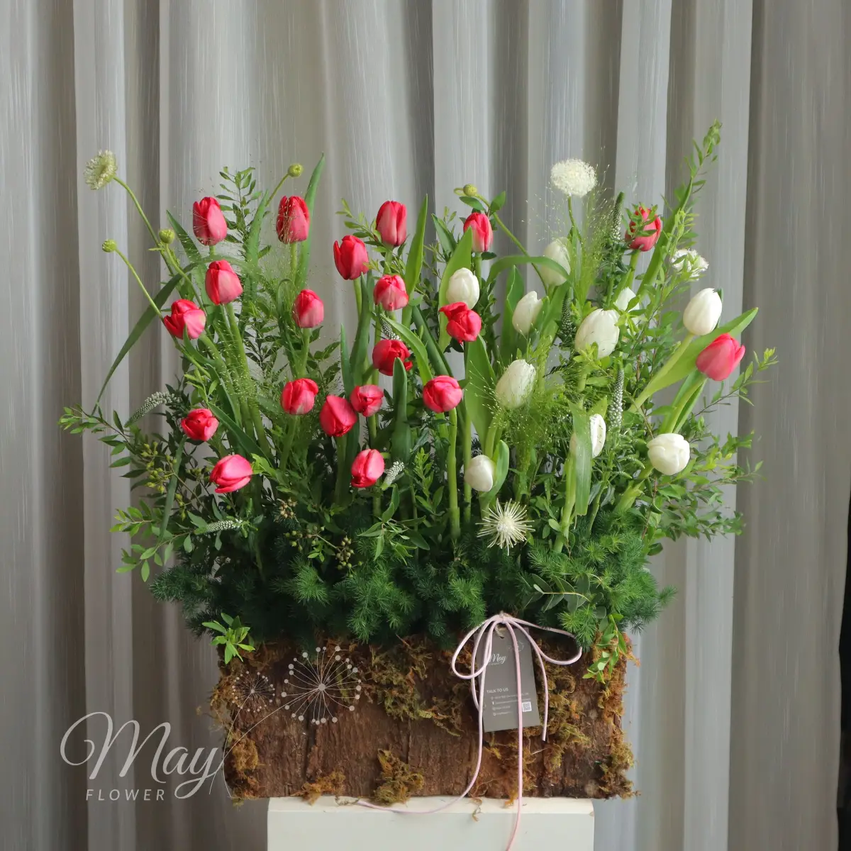 Hoa 20 10 cao cấp thiết kế hoa tulip khu vườn nhỏ